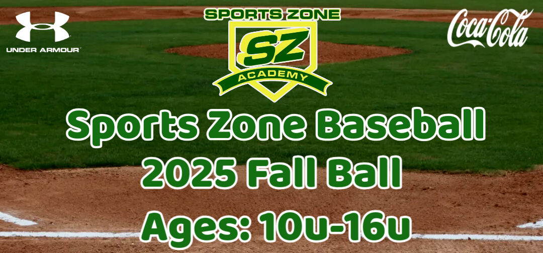 FallBall_20249u